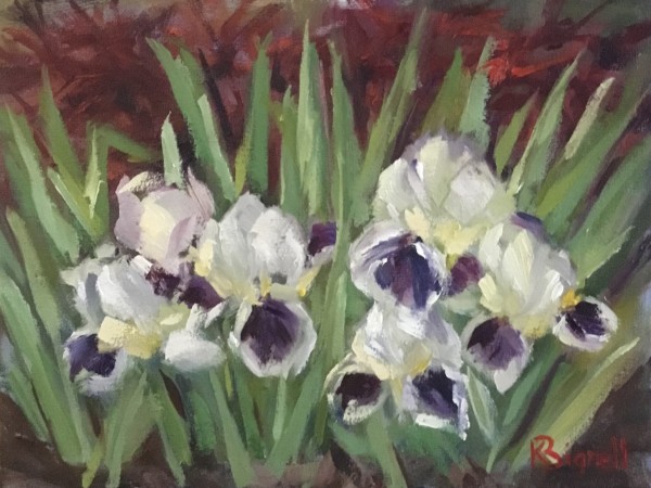 Spring Iris’ by Kathleen Bignell