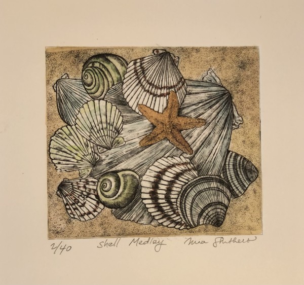 Shell Medley by Ingrid Nina Struthers