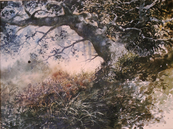 Untitled: Oak Tree by David Solomon