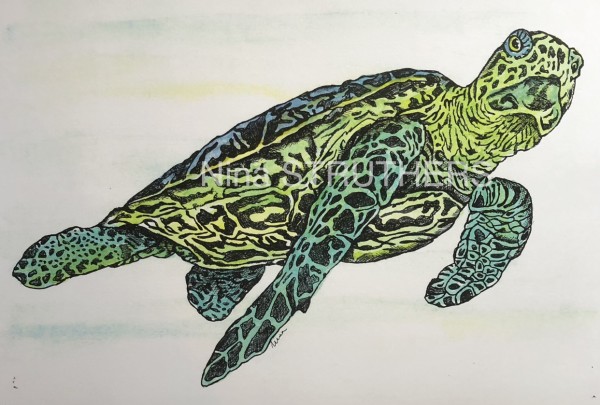 Sea turtle by Ingrid Nina Struthers