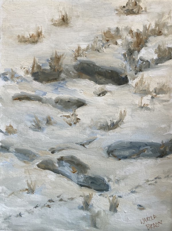 Footprints in Snow by Karla Brady