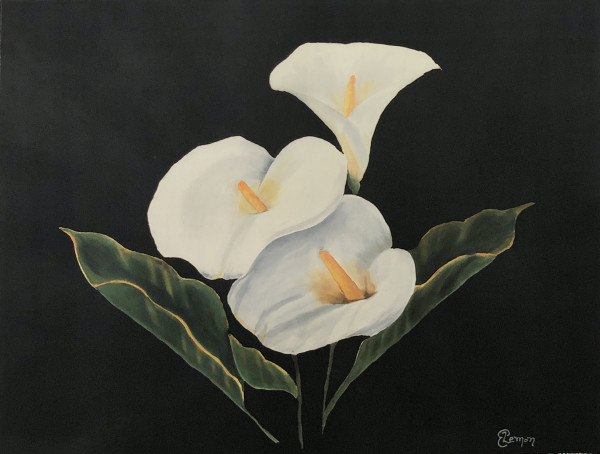 Three Calla Lilies on Black by Elizabeth Lemon
