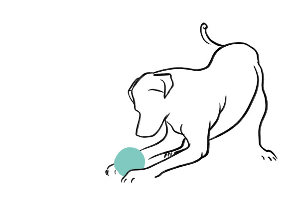 Labrador with green ball by Jana Hrivniakova Wagner