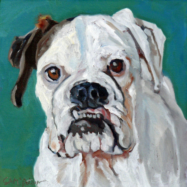 Winter the White Boxer by Evelyn McCorristin Peters
