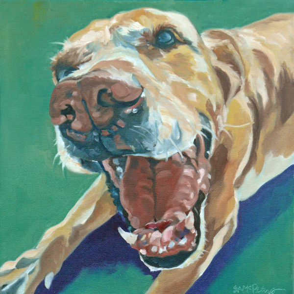 Yellow Labrador Sawyer by Evelyn McCorristin Peters